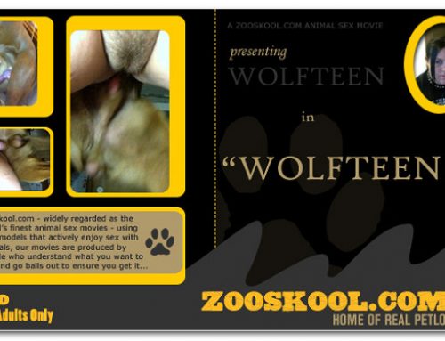 Home Of Real PetLover – Wolf Teen Wolfteen 2