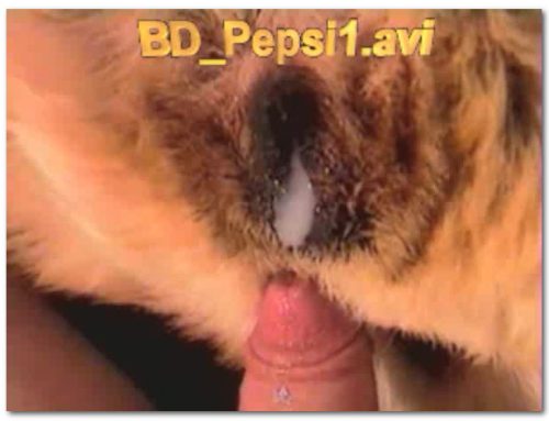 051 – BEAST ANIMAL CREAMPIE